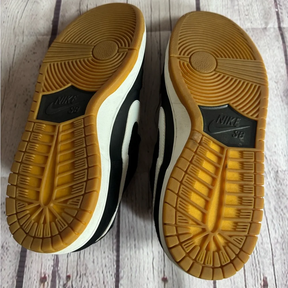 Nike SB Zoom Dunk Low Pro